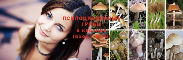 ешки Белоозёрский