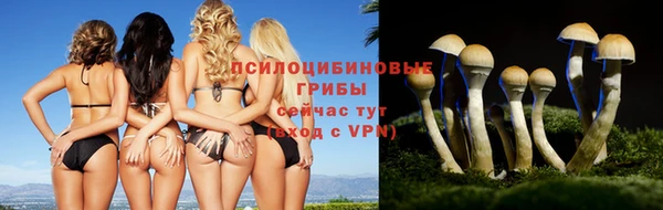 ешки Белоозёрский
