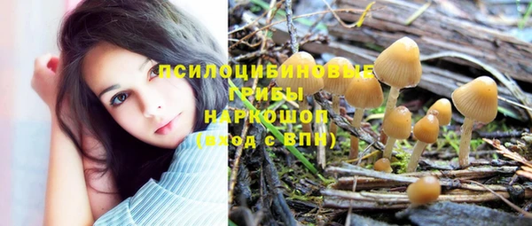 ешки Белоозёрский